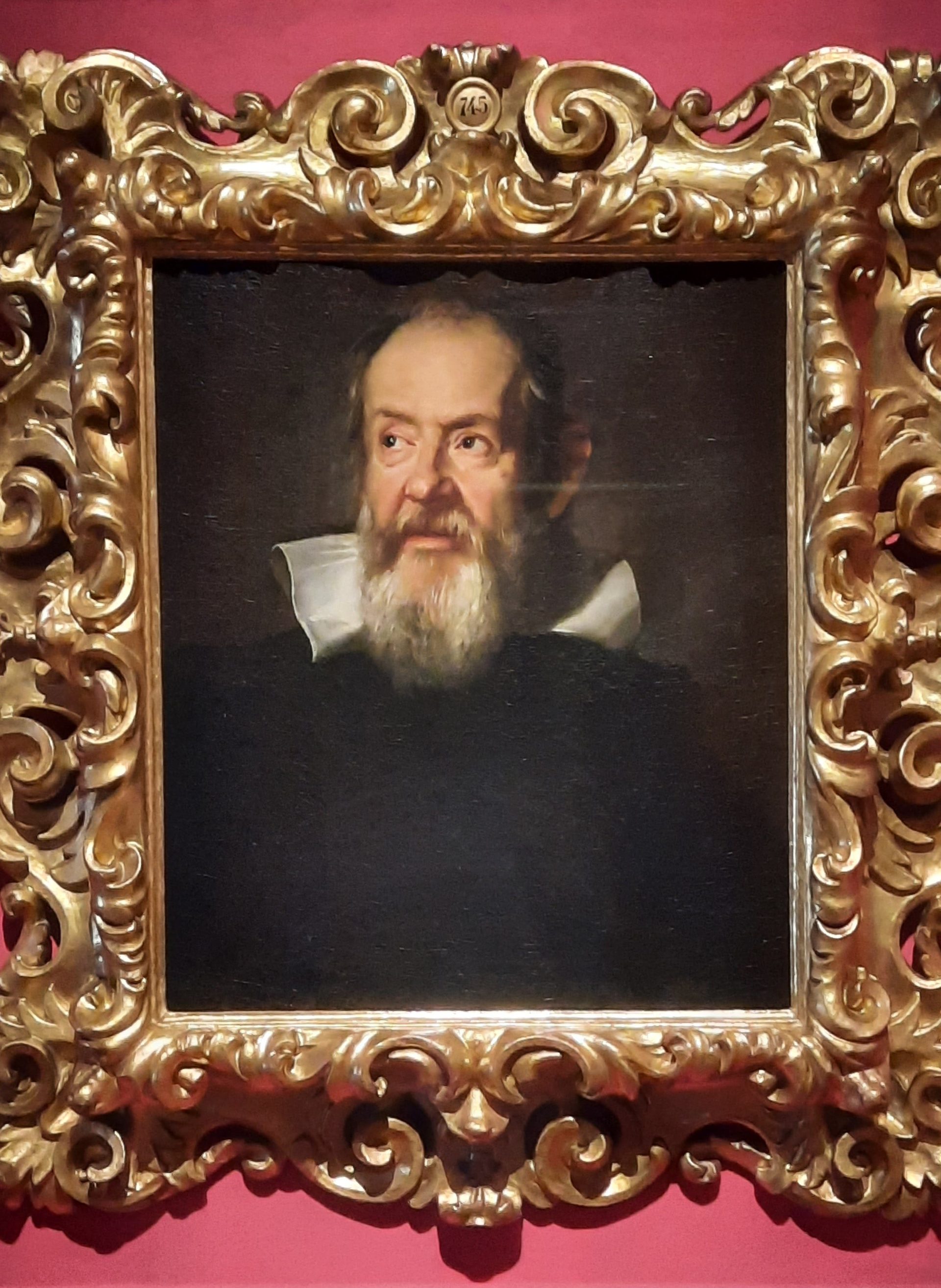 Galileo Galilei’s portrait by Suttermans - 02.jpg